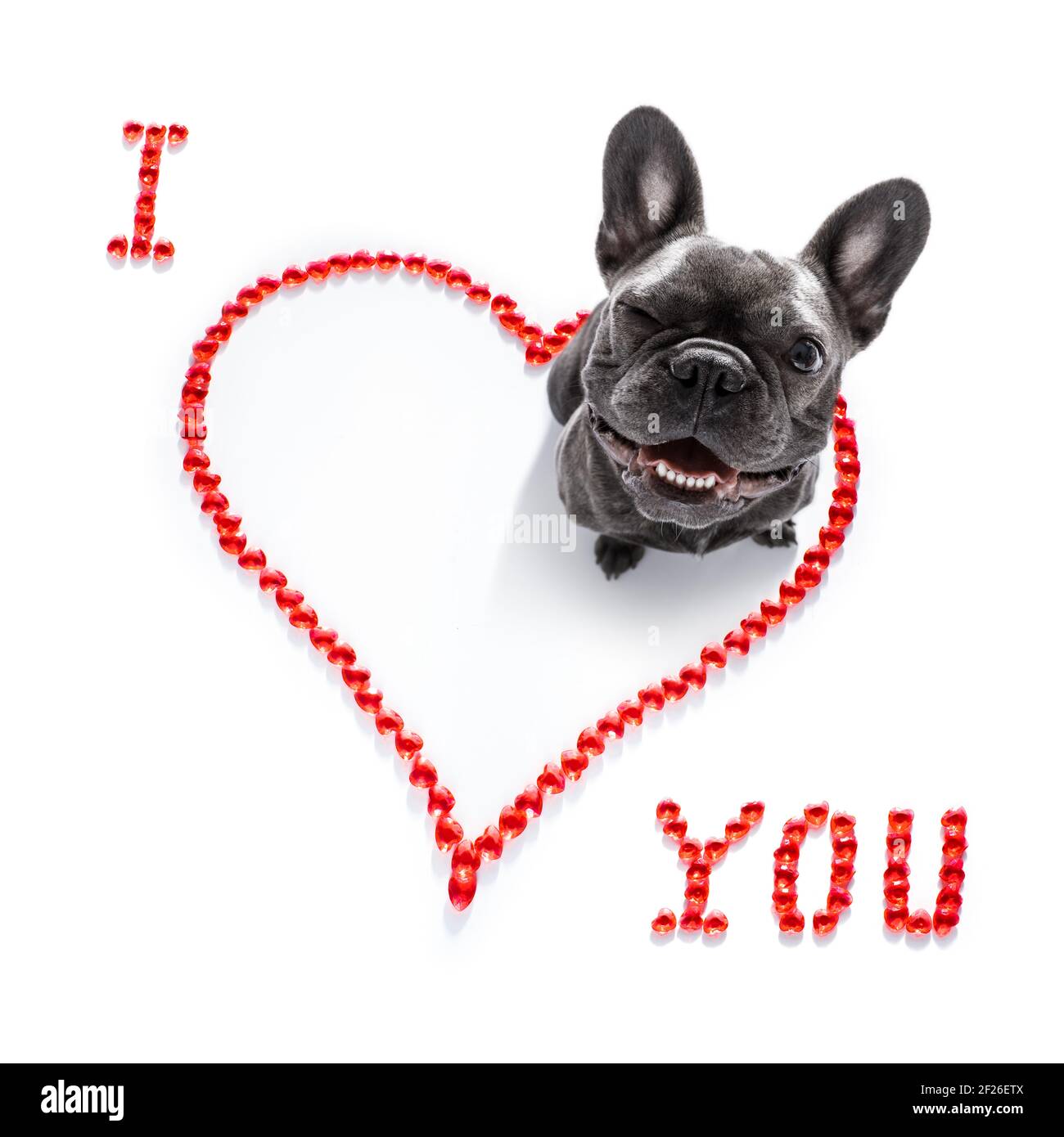 I Love My Dog High Resolution Stock Photography and Images - Alamy