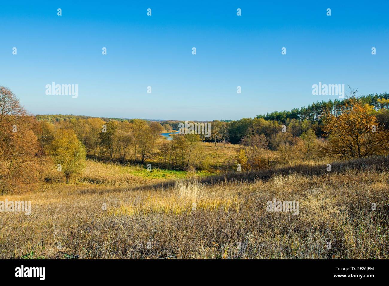 Beautiful rural autumn landscape with blue river and forest Stock Photo ...