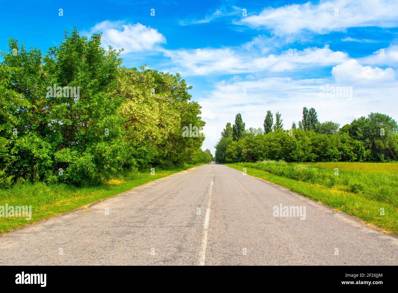 Beautiful summer rural landscape with old countryside road Stock Photo ...