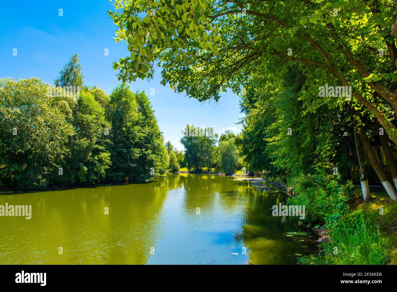 Beautiful rural summer landscape with lake and green trees on the shore ...
