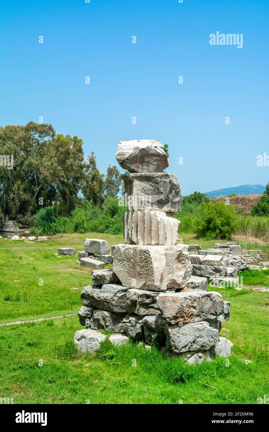Ruins The Temple of Artemis in an ancient Greek city Ephesus, Turkey ...