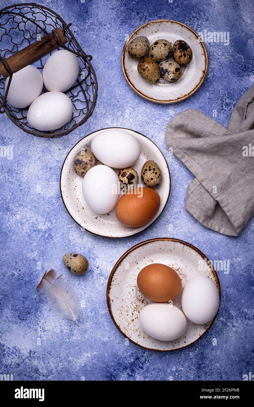 Quail and chicken eggs on blue background Stock Photo