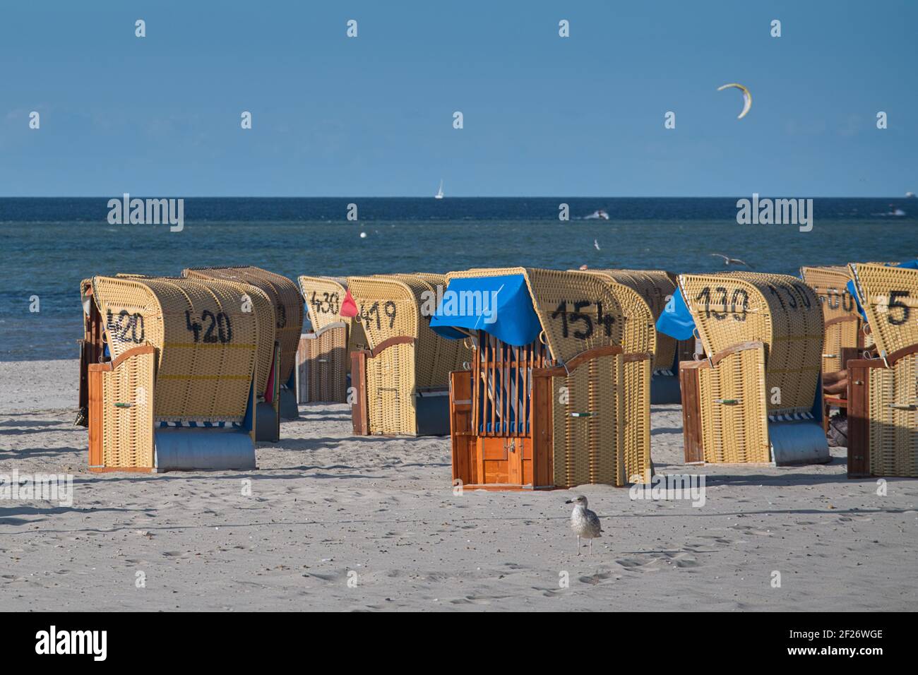 Sandy beach at the Sea with many beach baskets. Blue sky, ships on the horizon. A seagull runs in the foreground. Sandstrand am Meer mit Strandkörben. Stock Photo