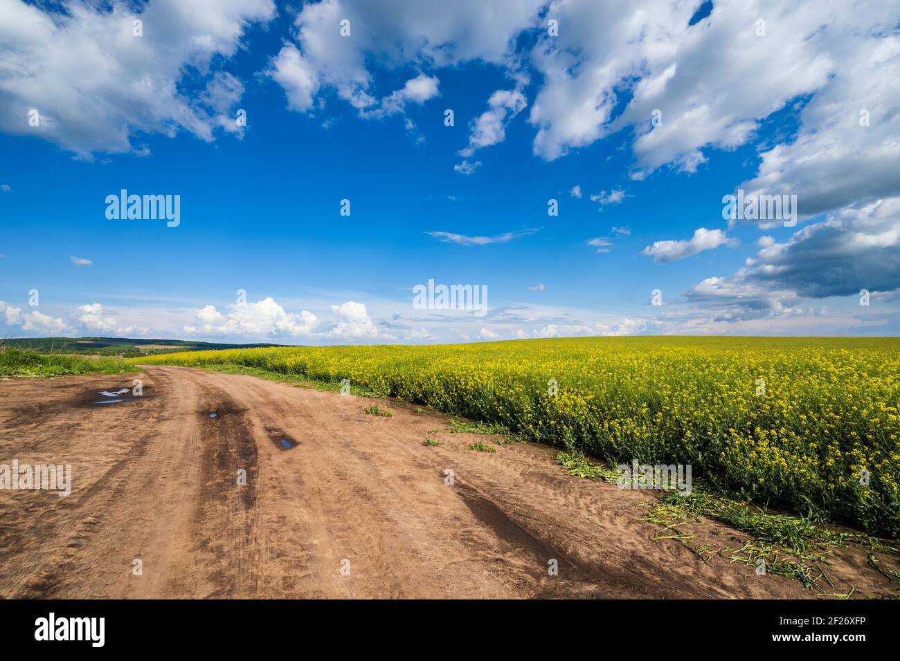 Spring countryside view with dirty road Stock Photo - Alamy