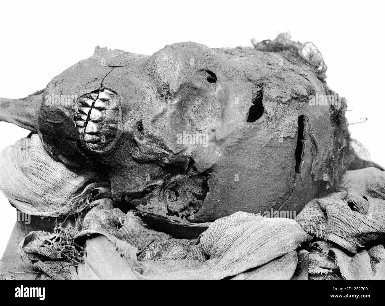 Pharaoh Seqenenre Tao. Mummified head of Seqenenre depicting his wounds. The cut above his eye was made by another weapon, most probably some sort of dagger. Seqenenre Tao (also Seqenera Djehuty-aa or Sekenenra Taa) ruled over the last of the local kingdoms of the Theban region of Egypt in the Seventeenth Dynasty during the Second Intermediate Period. Stock Photo