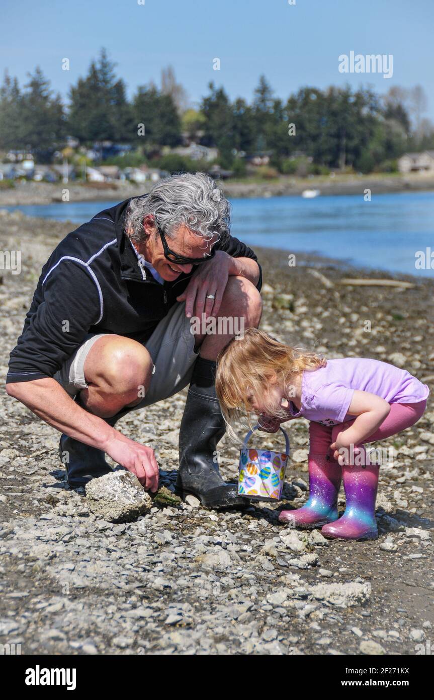 Grandfather and his small granddaughter on a rocky beach next to the water.  Beachcombing. Real people.  Family multi-generation leisure activities. Stock Photo