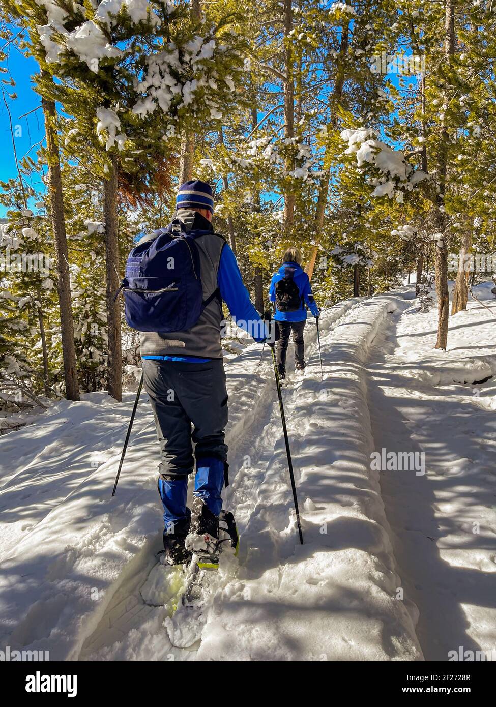 Healthy, active seniors snowshoeing in Yellowstone National Park. Winter snow landscape. Friends trekking in the snow together. Snowshoes. Stock Photo