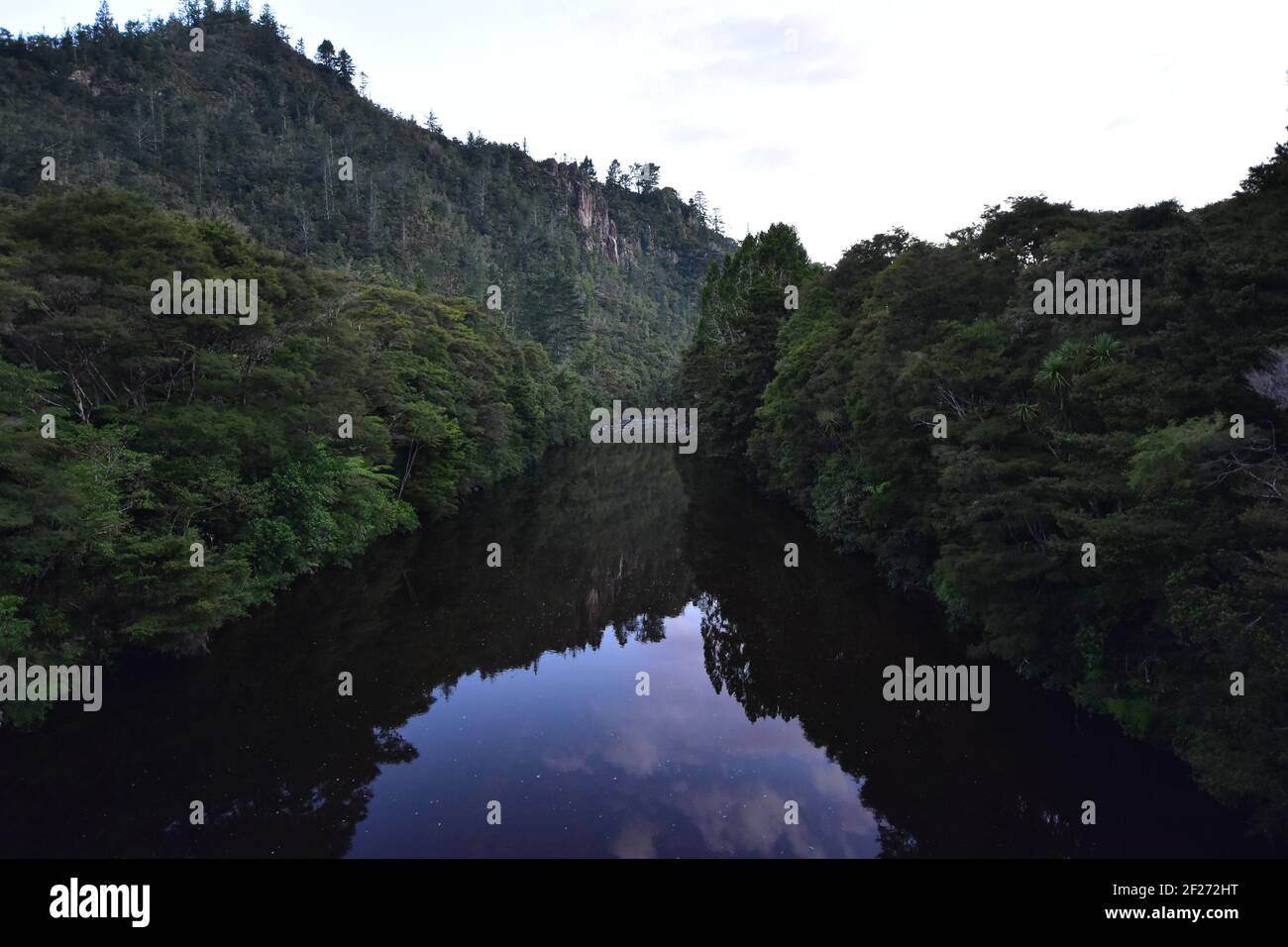 Tairua Rive very slowly flowing through narrow densely forested valley of Broken Hills where gold used to be mined. Stock Photo