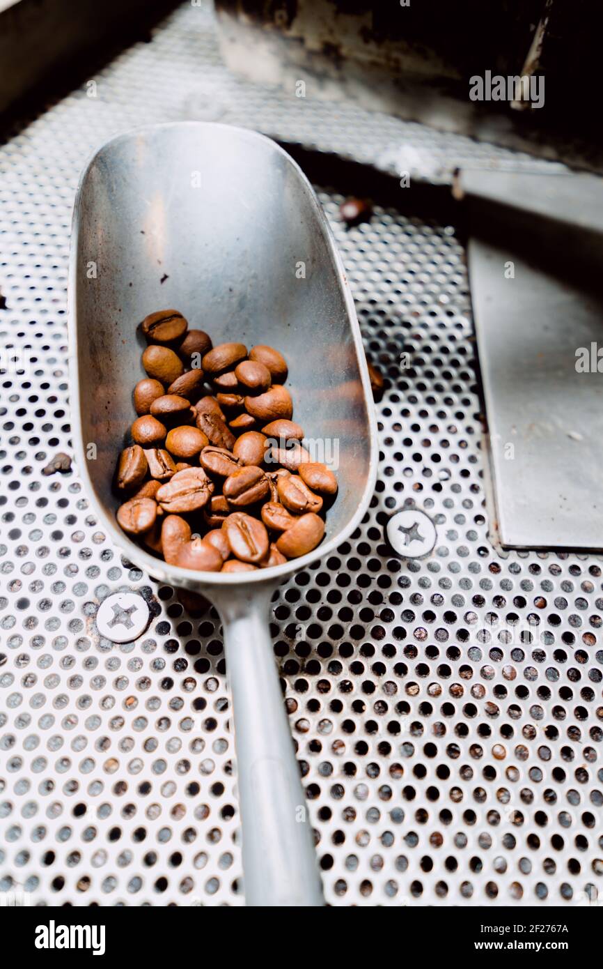 Coffee beans in metal spoon inside of a coffee roaster Stock Photo