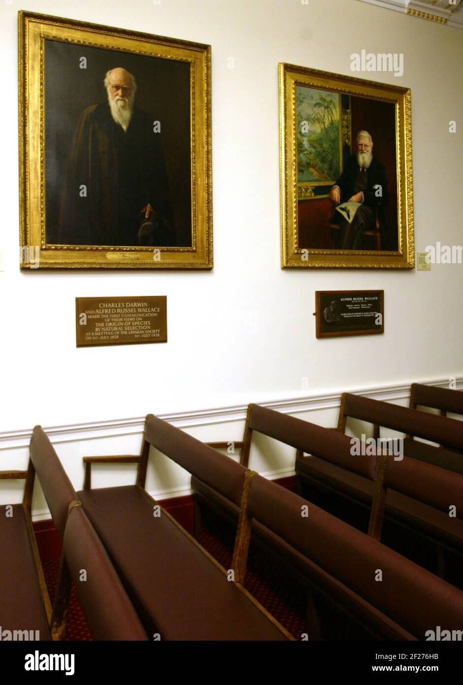 Linnean Society in London.. Portraits of Charles Darwin and Alfred Russel Wallace  pic David Sandison Stock Photo