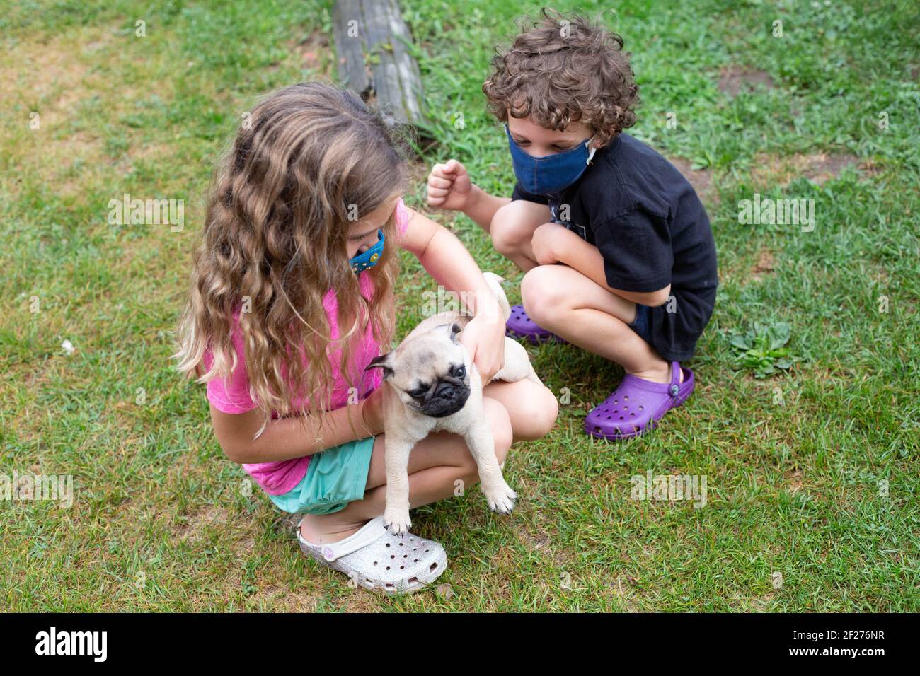 Two children playing with pug puppy outside Stock Photo
