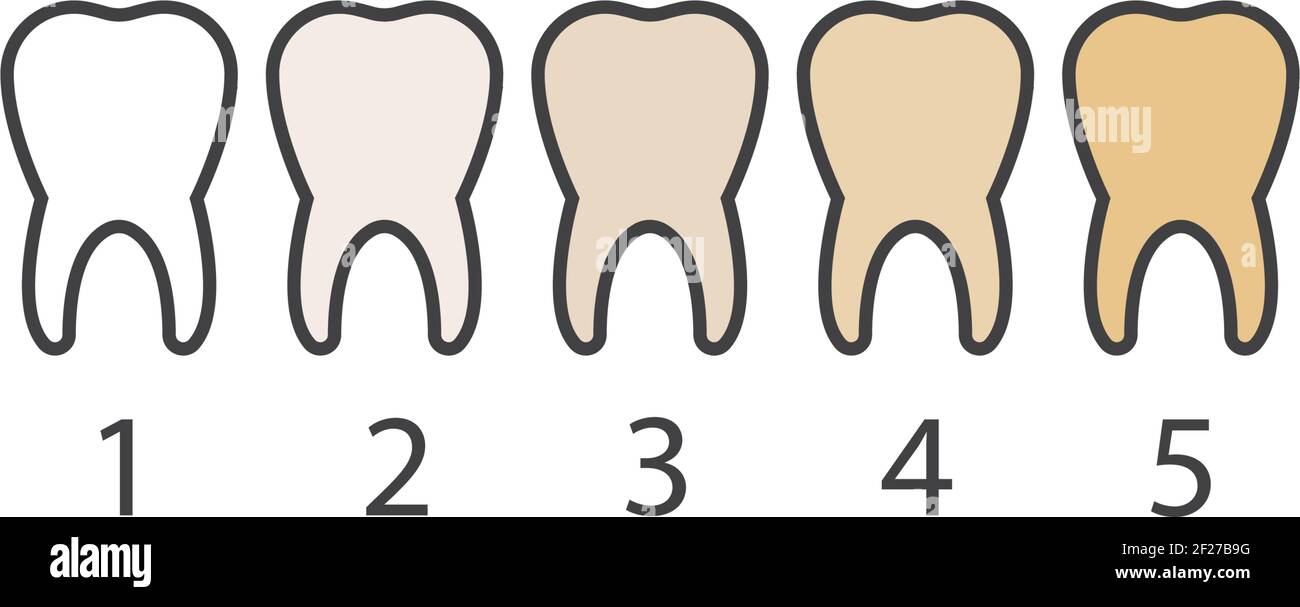 Tooth color palette Stock Vector Images - Alamy