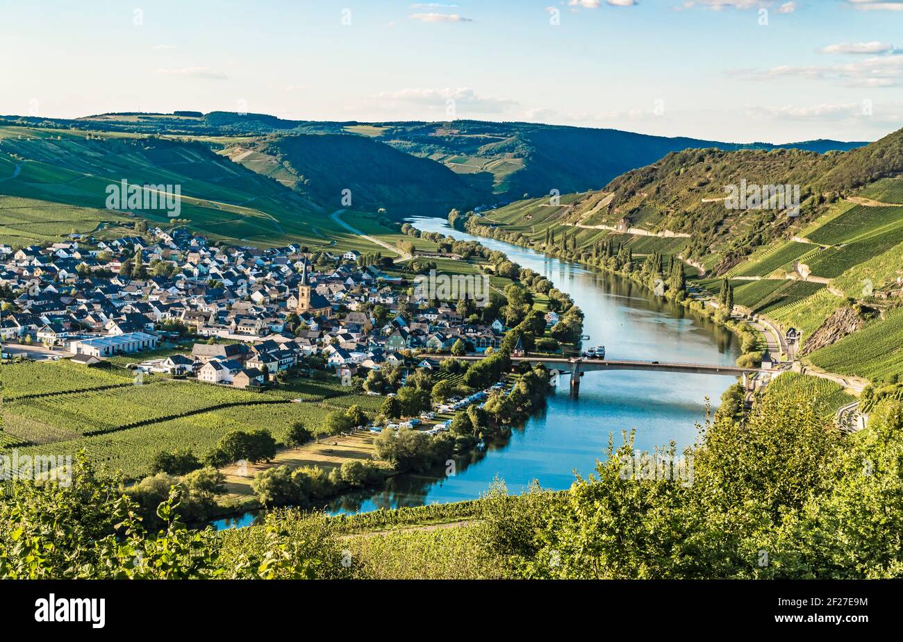 Beautiful moselle valley with view to Trittenheim in Germany Stock Photo