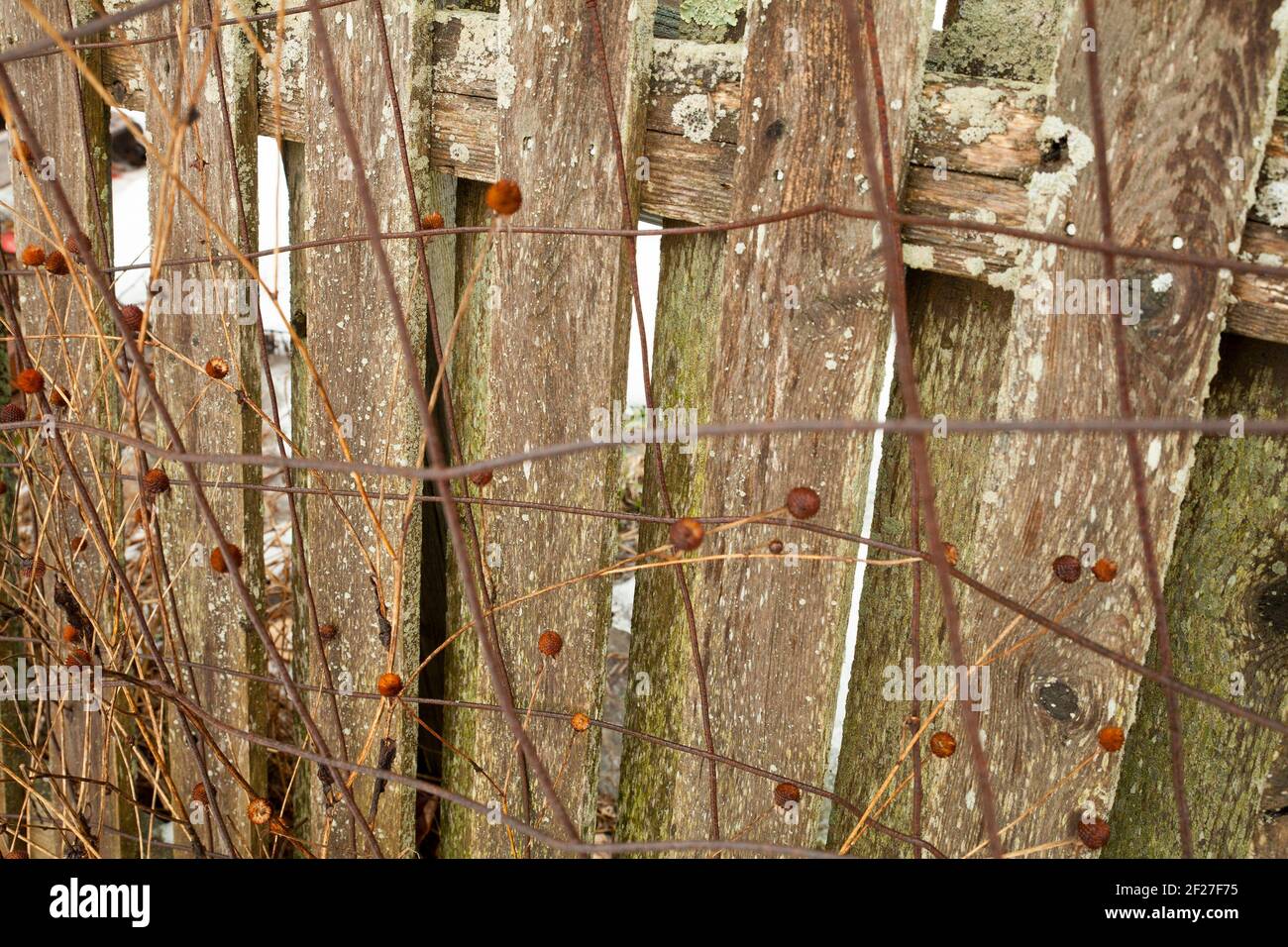 Wooden and metal fence in a New England community garden in the winter. Stock Photo