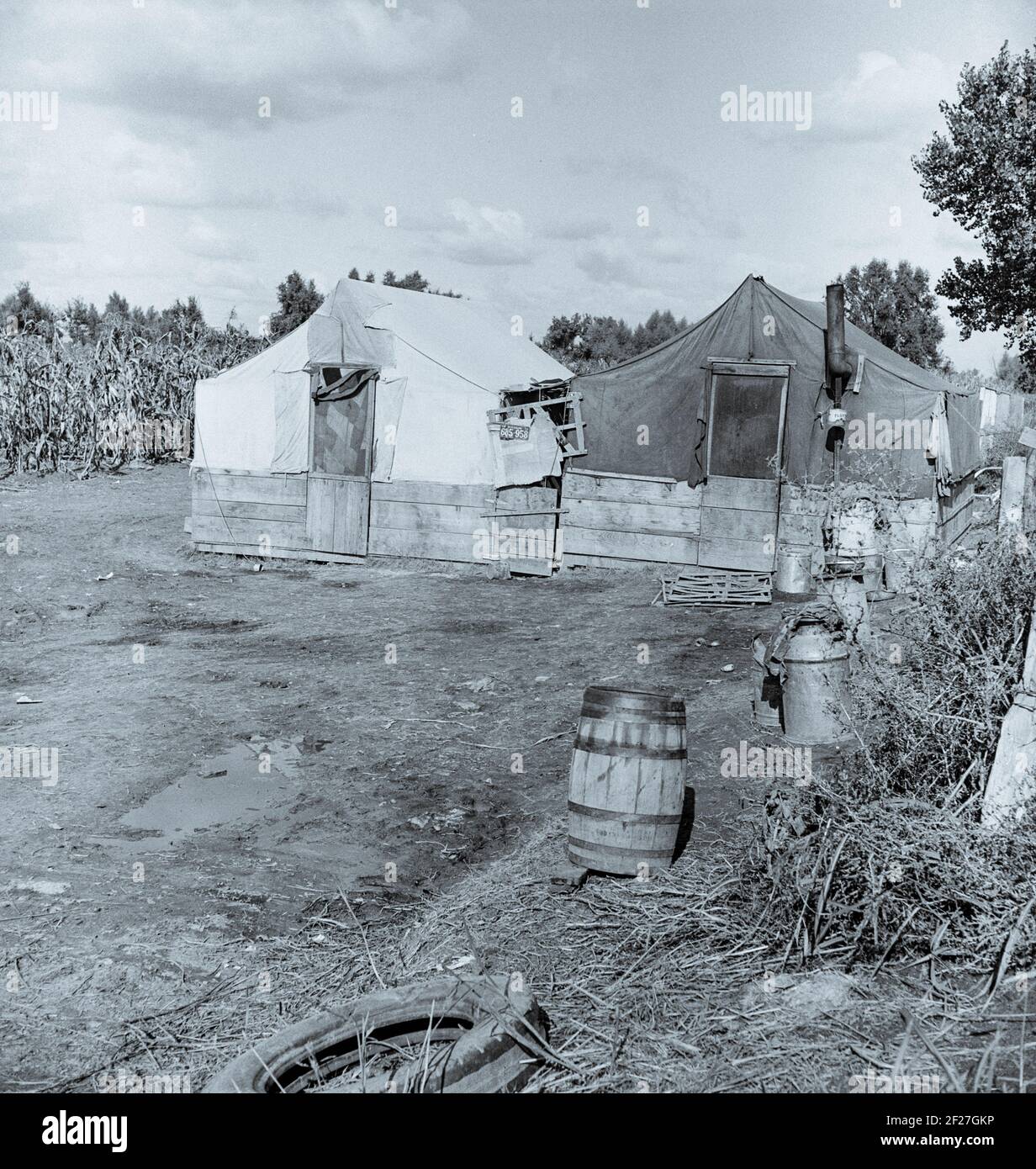 Living conditions of the migrant agricultural workers on whom depend ...