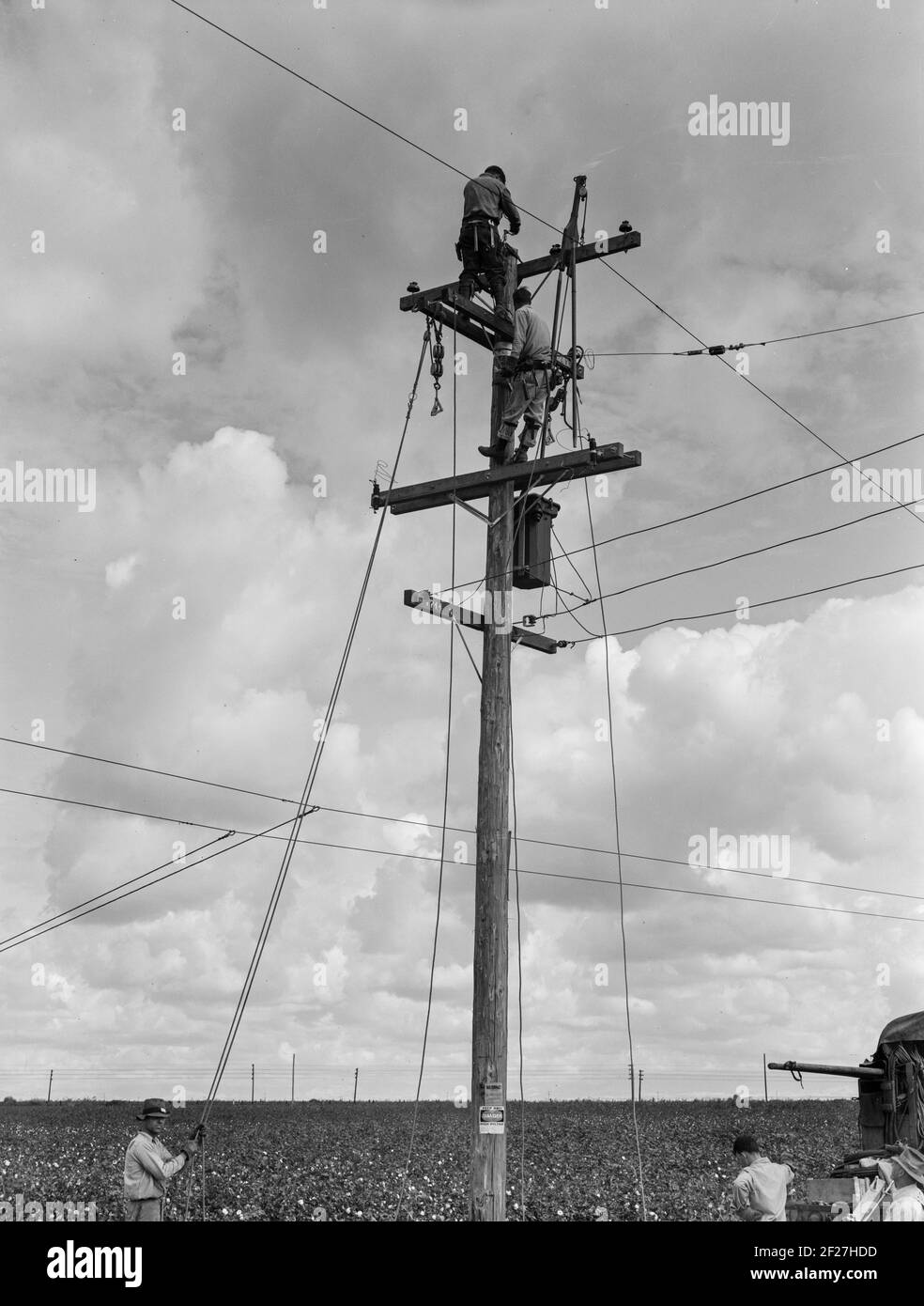 Electric line installation. Rural electrification. San Joaquin Valley