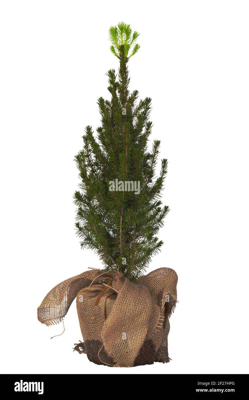 Out fir hires stock photography and images Alamy