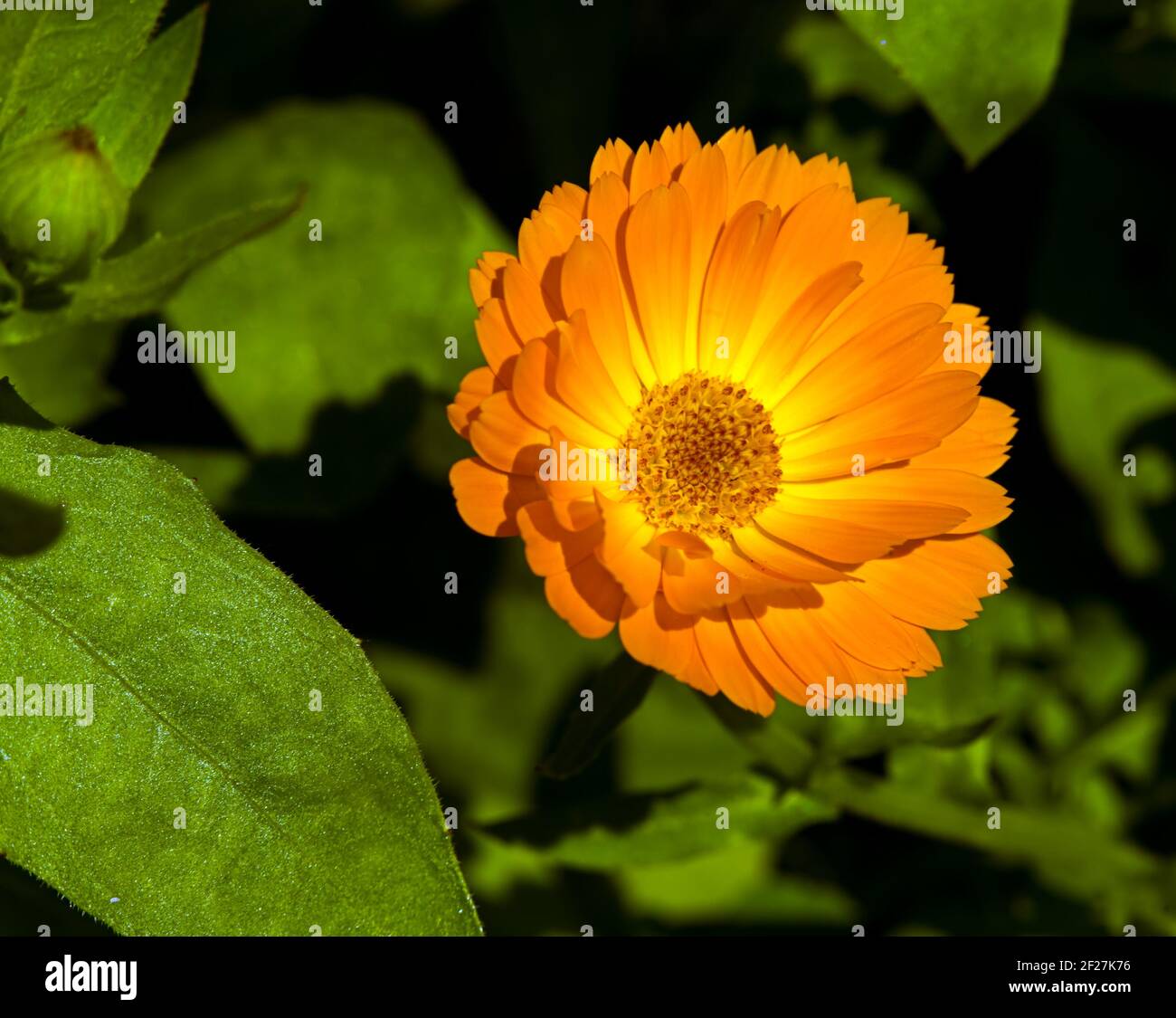 Around moscow hi-res stock photography and images - Alamy 