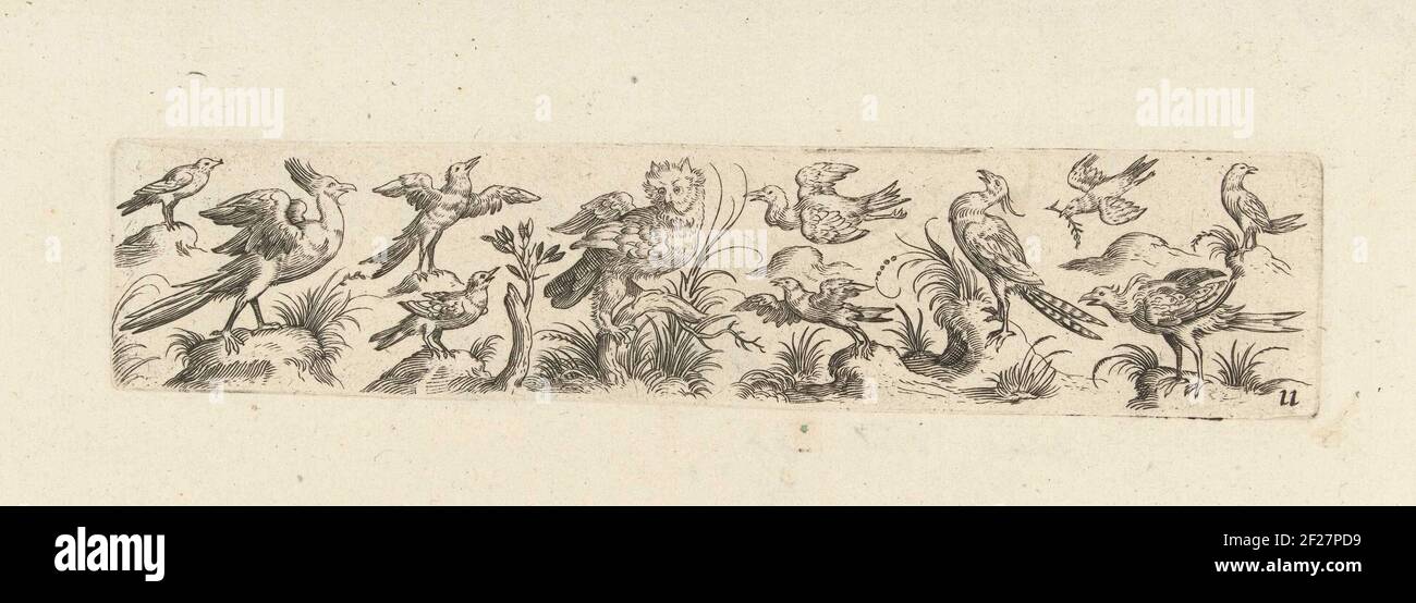 Fries met elf vogels, in het midden staat een uil; Viel und mancherley Gefögel den Malern und Goltsmiden dienlich.On the right of the owl, two birds fly, the rightmost with a sprig in the beak. Number 11 from series of 12 numbered sheets. Stock Photo