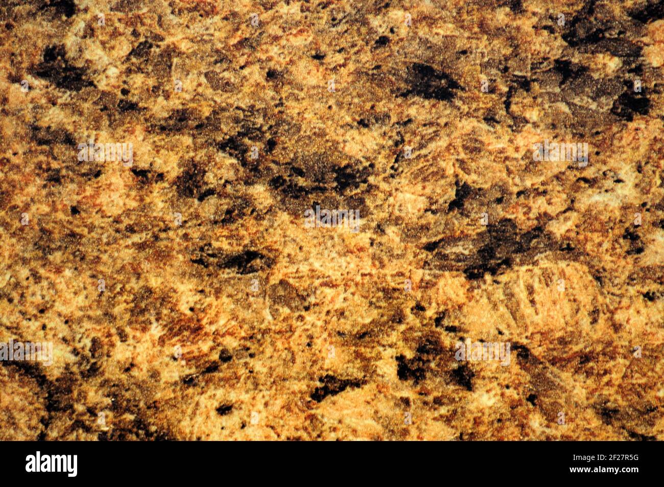 Golden yellow blotches hi-res stock photography and images - Alamy