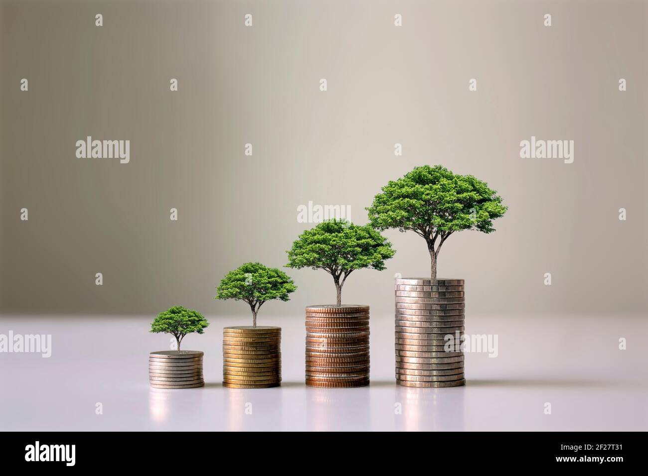 Showing financial developments and business growth with a growing tree on a coin. Stock Photo