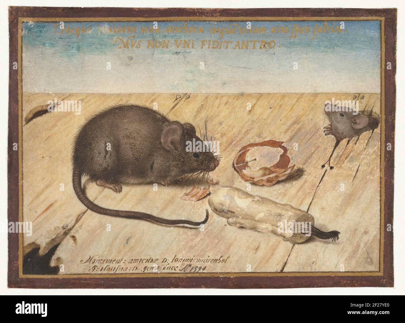 Two Mice.This drawing was specially made by Joris Hoefnagel for his friend Johannes Muisenhol from Frankfurt. The scene refers to his surname (mouse hole), while the extinguished candle and the gnawed walnut stand for the transience of life. Symbolism played an important role in the 16th century. The artist also had a keen eye for the faithful depiction of the mice. Stock Photo