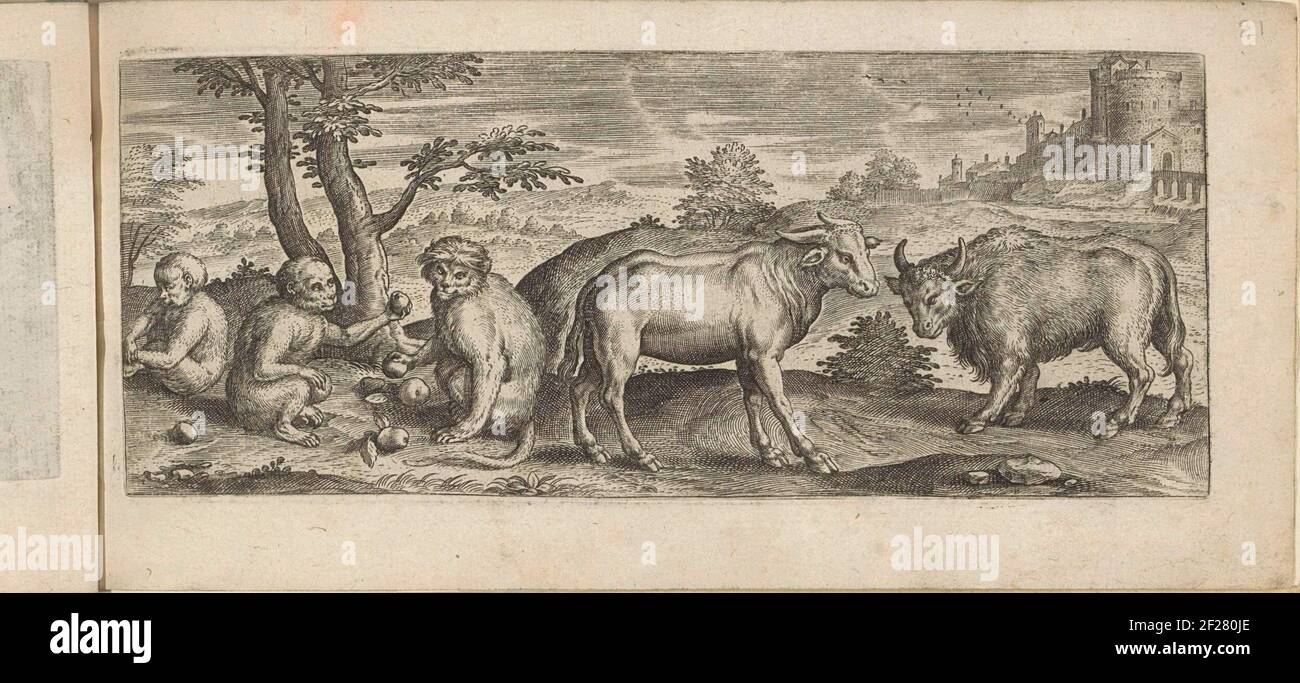 Apen, in een en Buffel; Quadrupeds of every kind and constructed Delineationes.Three monkeys playing with apples, a cow and buffalo in a landscape. This print is part of