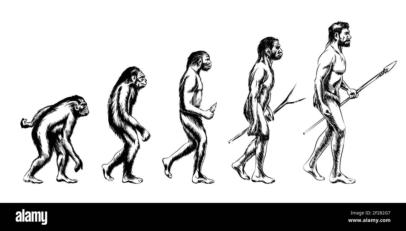 Human evolution. Monkey and australopithecus, neanderthal and animal, vector illustration Stock Vector
