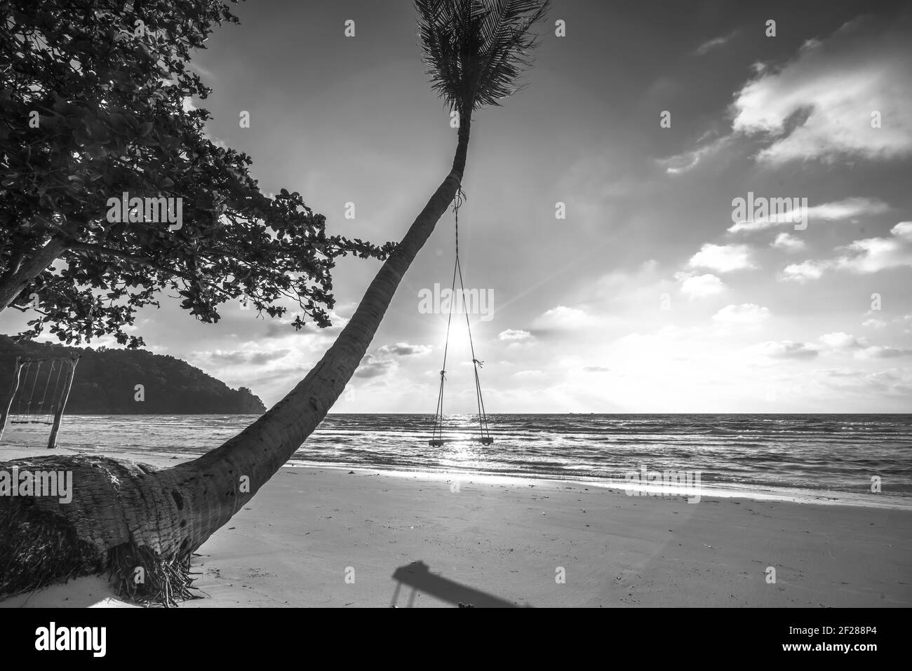 Sunshine swing attached to a palm tree in the idyllic Sao beach in Phu ...