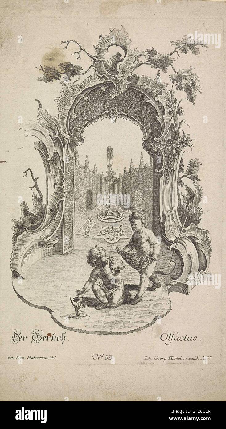 De reuk; Der Geruch / Olfactus; De zintuigen.Allegorical representation of the smell in Rocaille frame. Two putti smell and pick flowers in a garden. Publisher number 53. Stock Photo