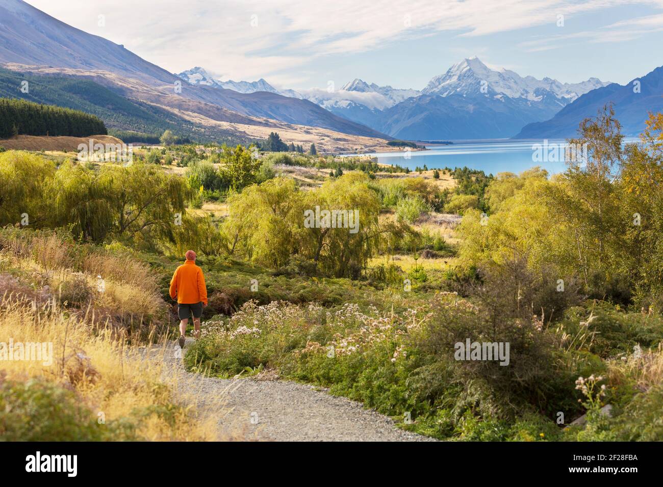 Hike in New Zealand mountains Stock Photo Alamy