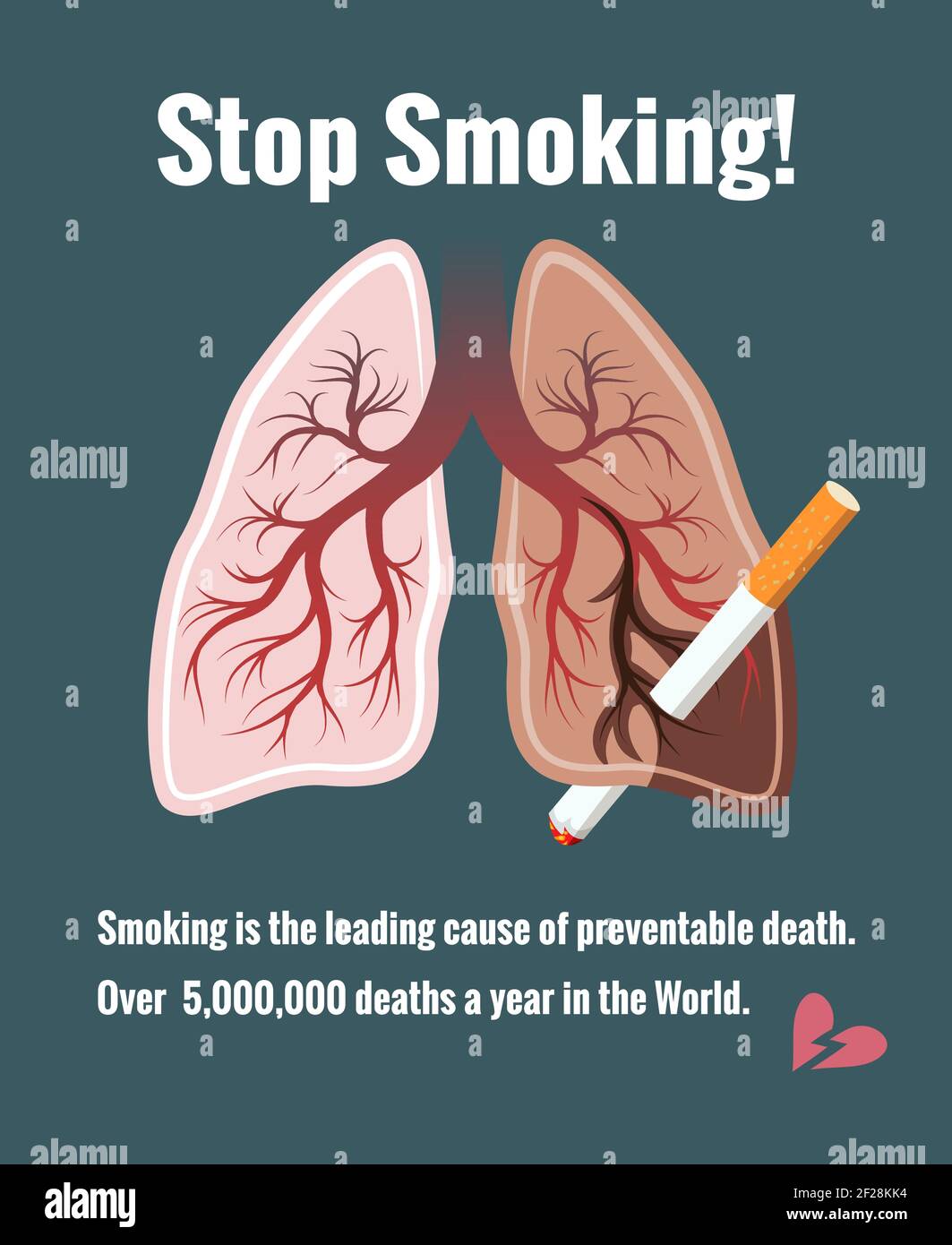 Lungs and smoking, stop smoking. Cancer and tobacco, death and illness, vector illustration Stock Vector