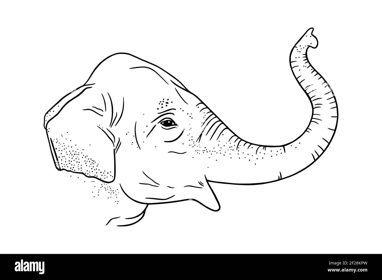 Easy Elephant Drawing Step by Step Printable  Crafty Morning
