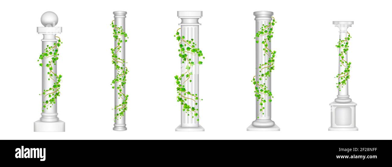 Ivy columns, antique pillars with green climbing liana plant leaves isolated on white background. Ancient classic stone roman or greek architecture for interior facade design, Realistic 3d vector set Stock Vector