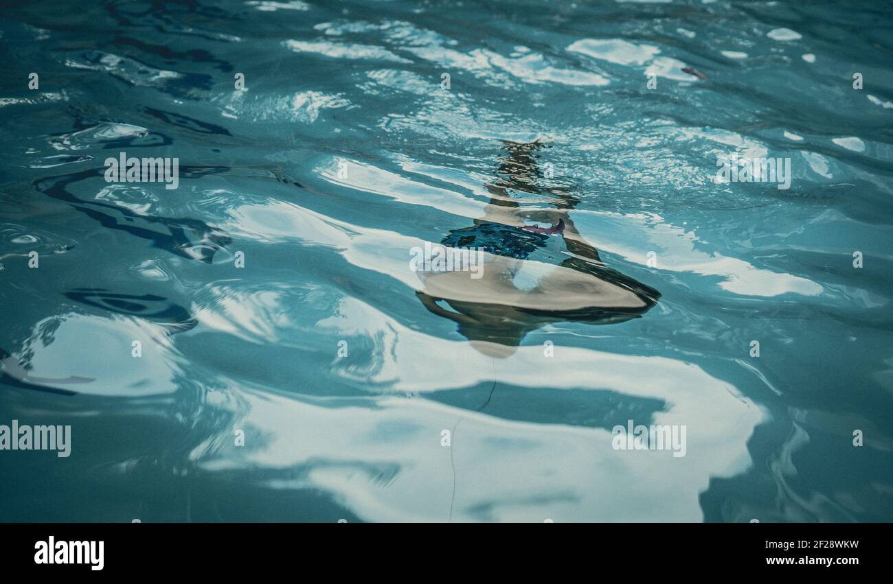 Abstract photo lifestyle, nature background. Unrecognizable person body deep under water, look at surface. Mystery mood. Concept of weightless Stock Photo
