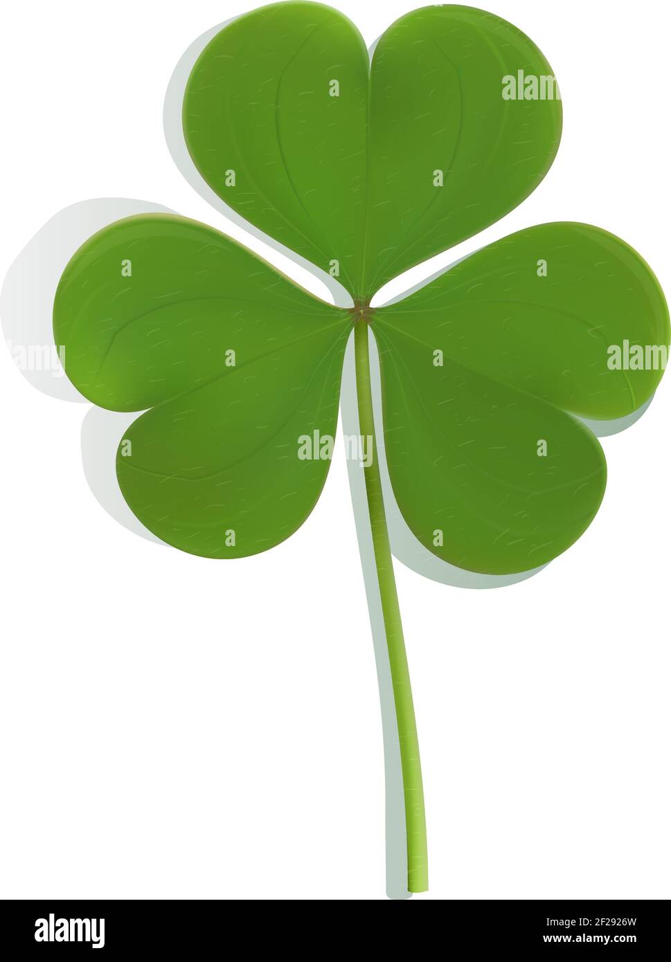 Realistic green leaf clover on white background Stock Vector Image ...