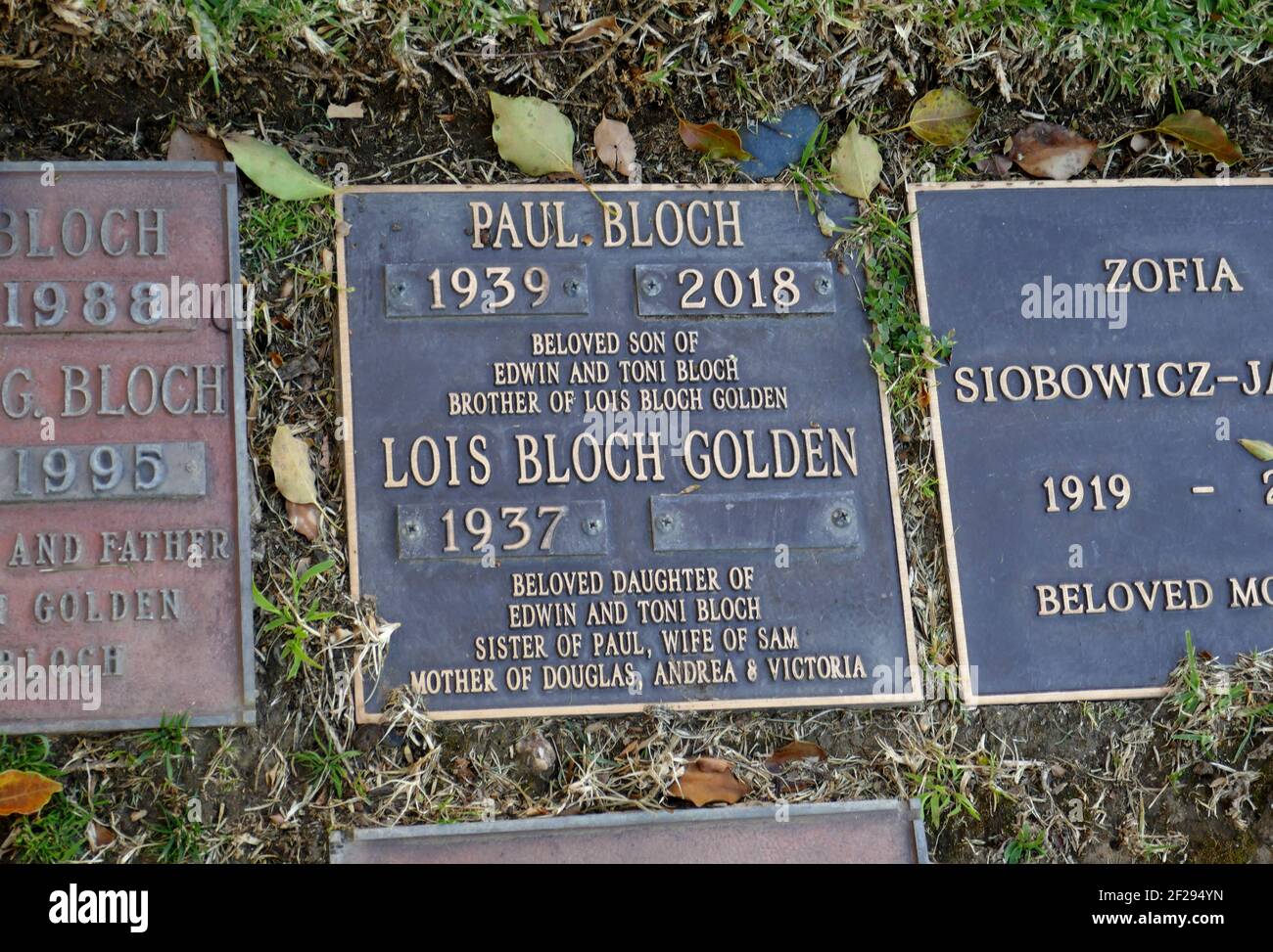 Paul Bloch High Resolution Stock Photography and Images Alamy(02)
