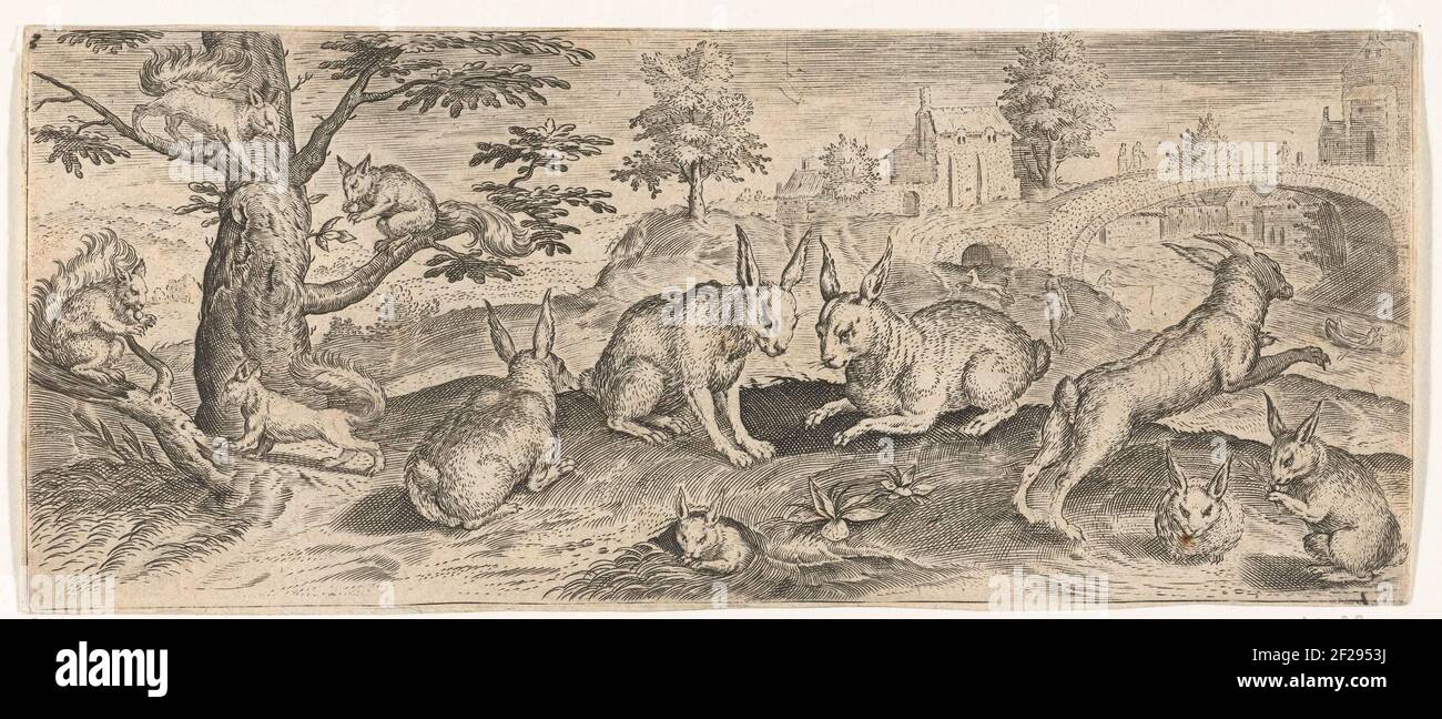 Squirrels and rabbits; Animals. A collection of squirrels and rabbits ...