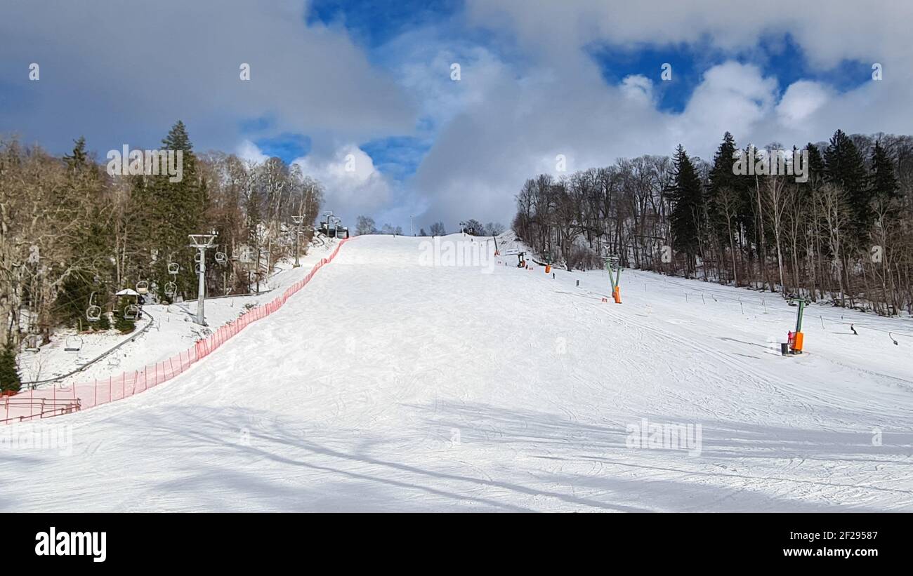 Ski resort in beautiful winter day. ski tracks, pine tree forest and