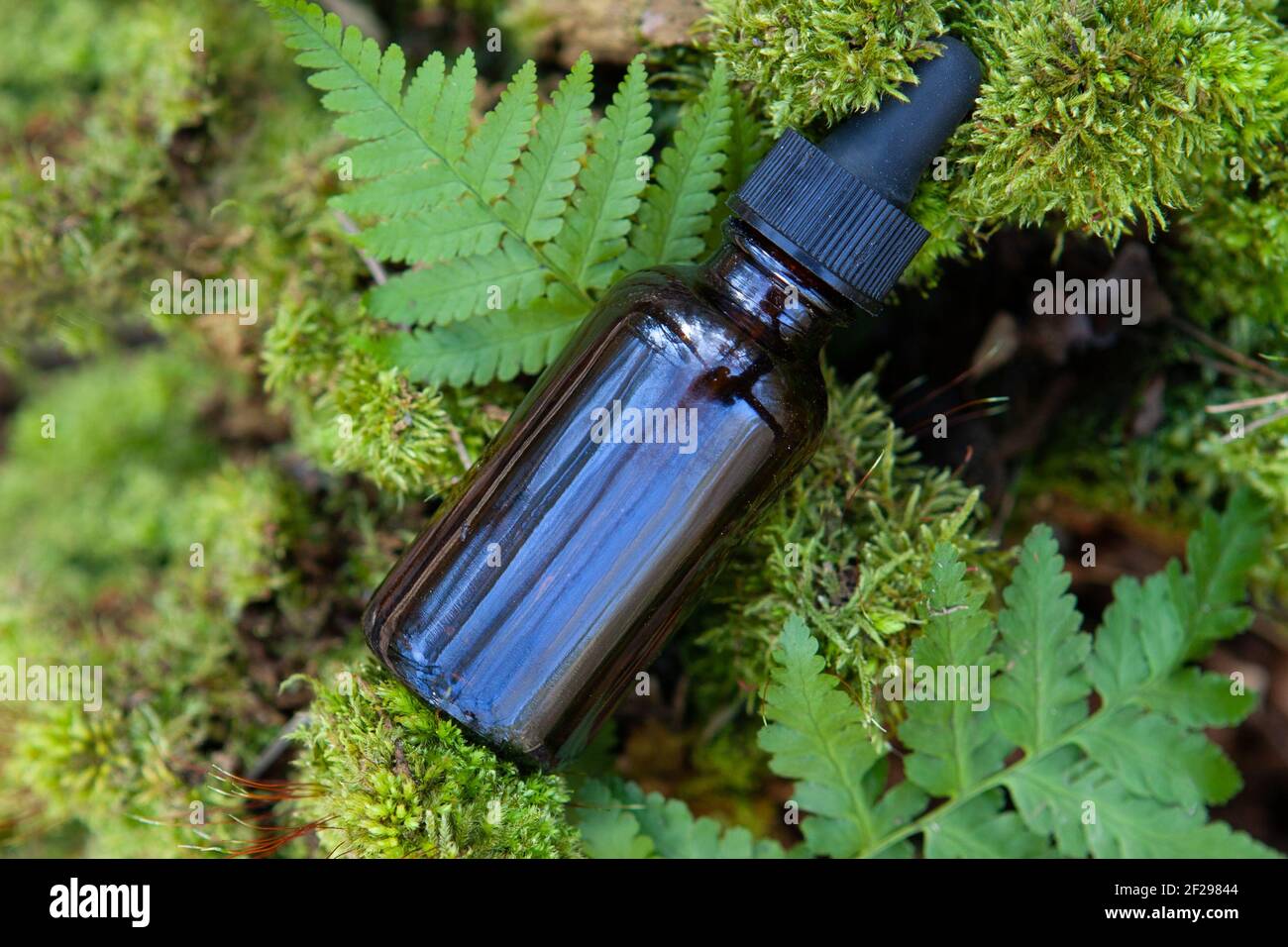 Medicinal plants in therapy hi-res stock photography and images - Alamy