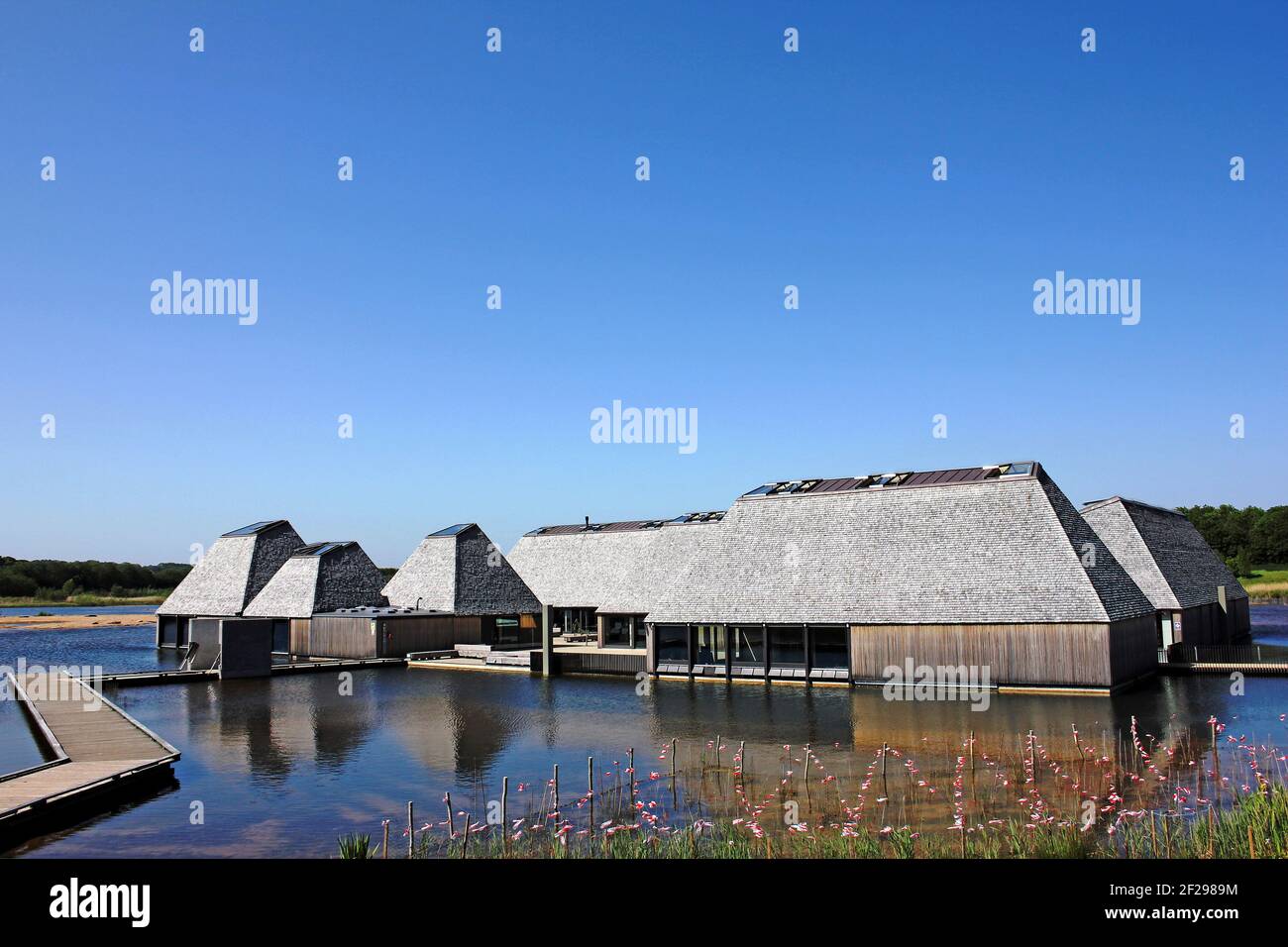 Brockholes Nature Reserve near Preston, Lancashire. Owned and managed by the Wildlife Trust for Lancashire, Manchester and North Merseyside. Stock Photo