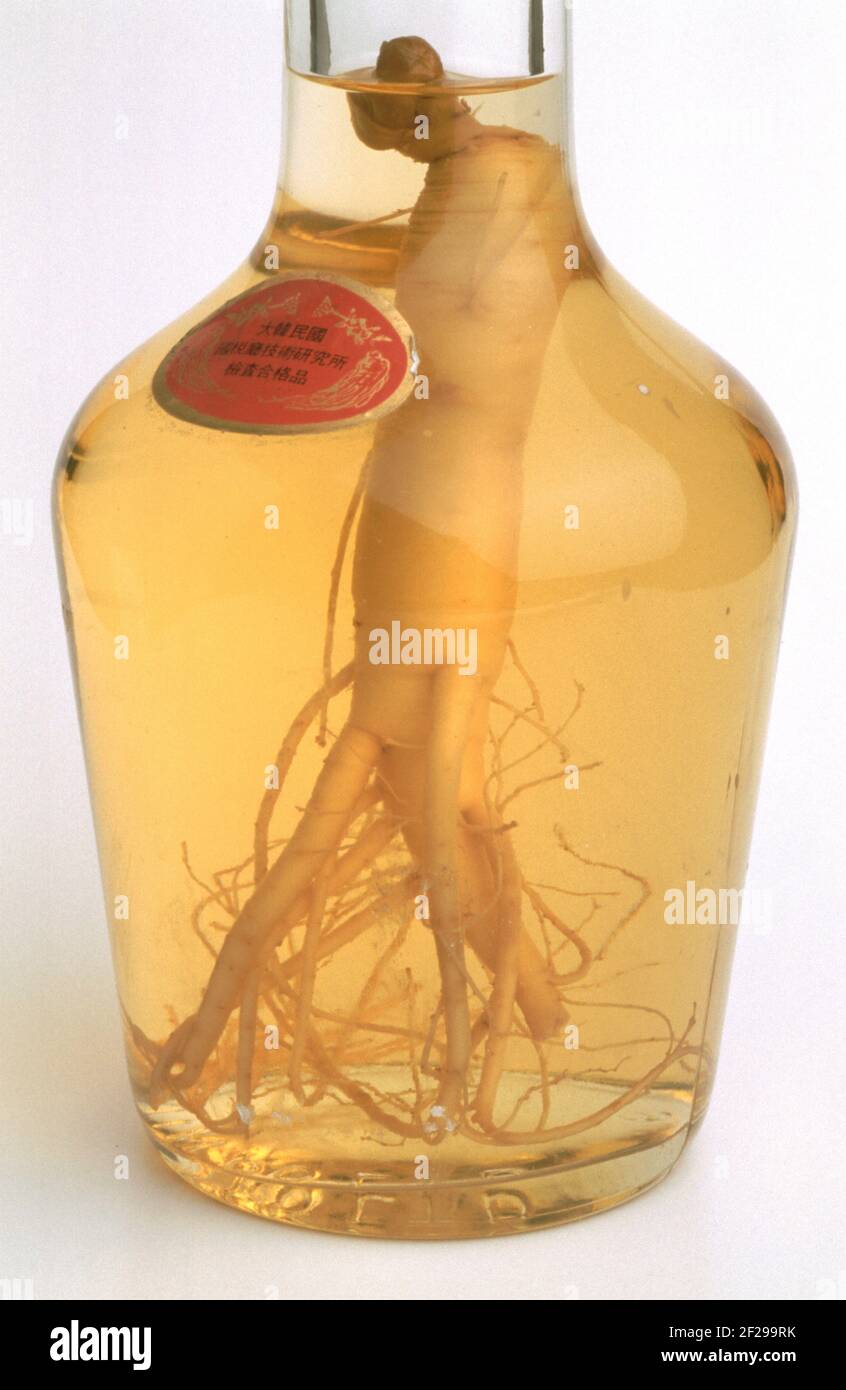 Liqueur made of ginseng, Korea, Panax ginseng, medicinal plant, root of
