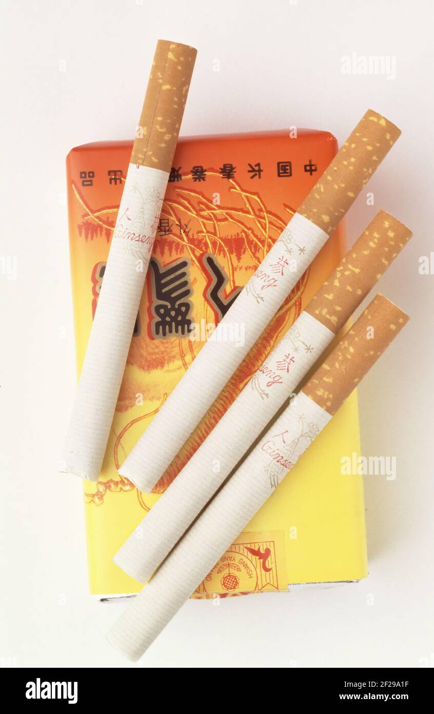 Cigarettes made of the dried leaves of Panax ginseng, medicinal plant, ginseng plant, traditional medicine in asia, corea, Ginseng, panax ginseng  / Stock Photo