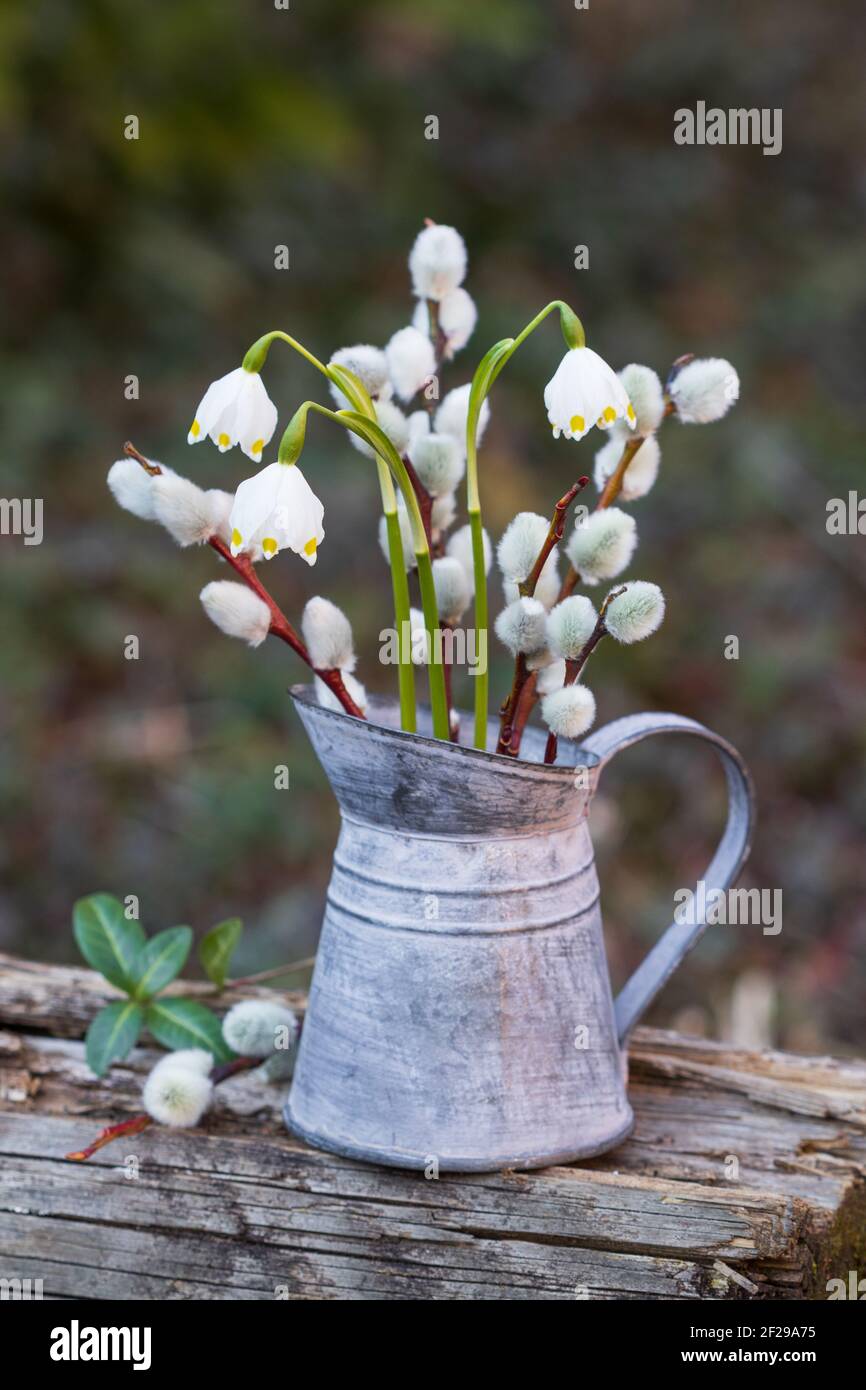 bouquet of snowflakes and willow catkins in vintage jug as spring decoration Stock Photo