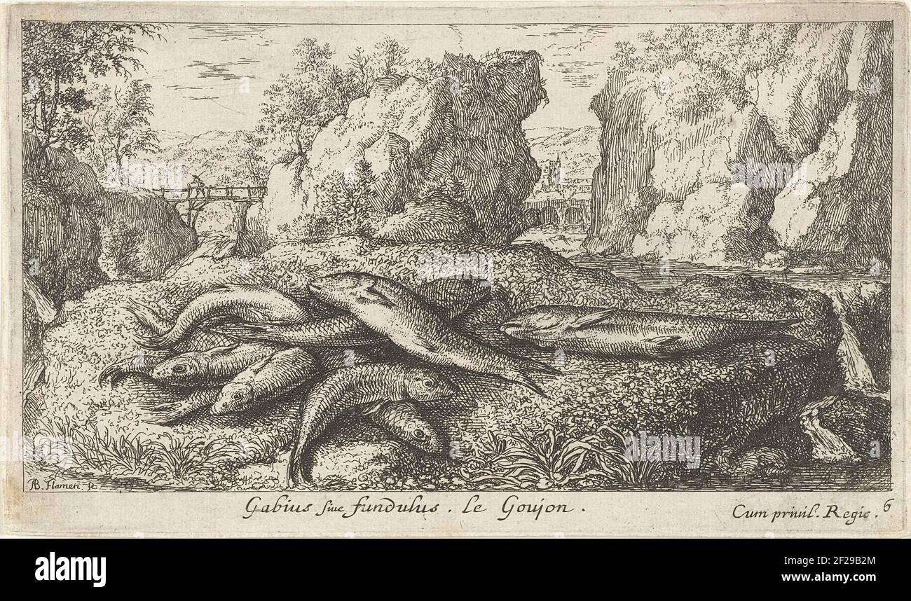 Gronds on a riverside; Gabius Siue Fundulus. Le Goujon.; Fish and other marine animals - Freshwater second series; Second Partie De Poissons d'eau douce.rot landscape with fishing on the grass in the foreground. In the background a bridge over the river. Stock Photo