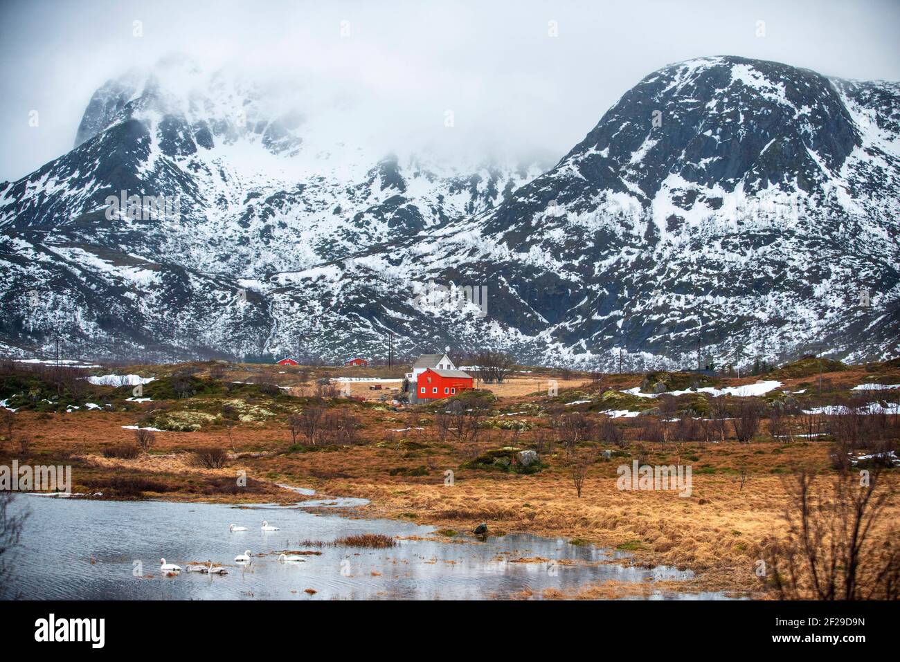 Skagsanden, a beach near Flakstad, Flakstadøy, Lofoten, Nordland, Norway Stock Photo