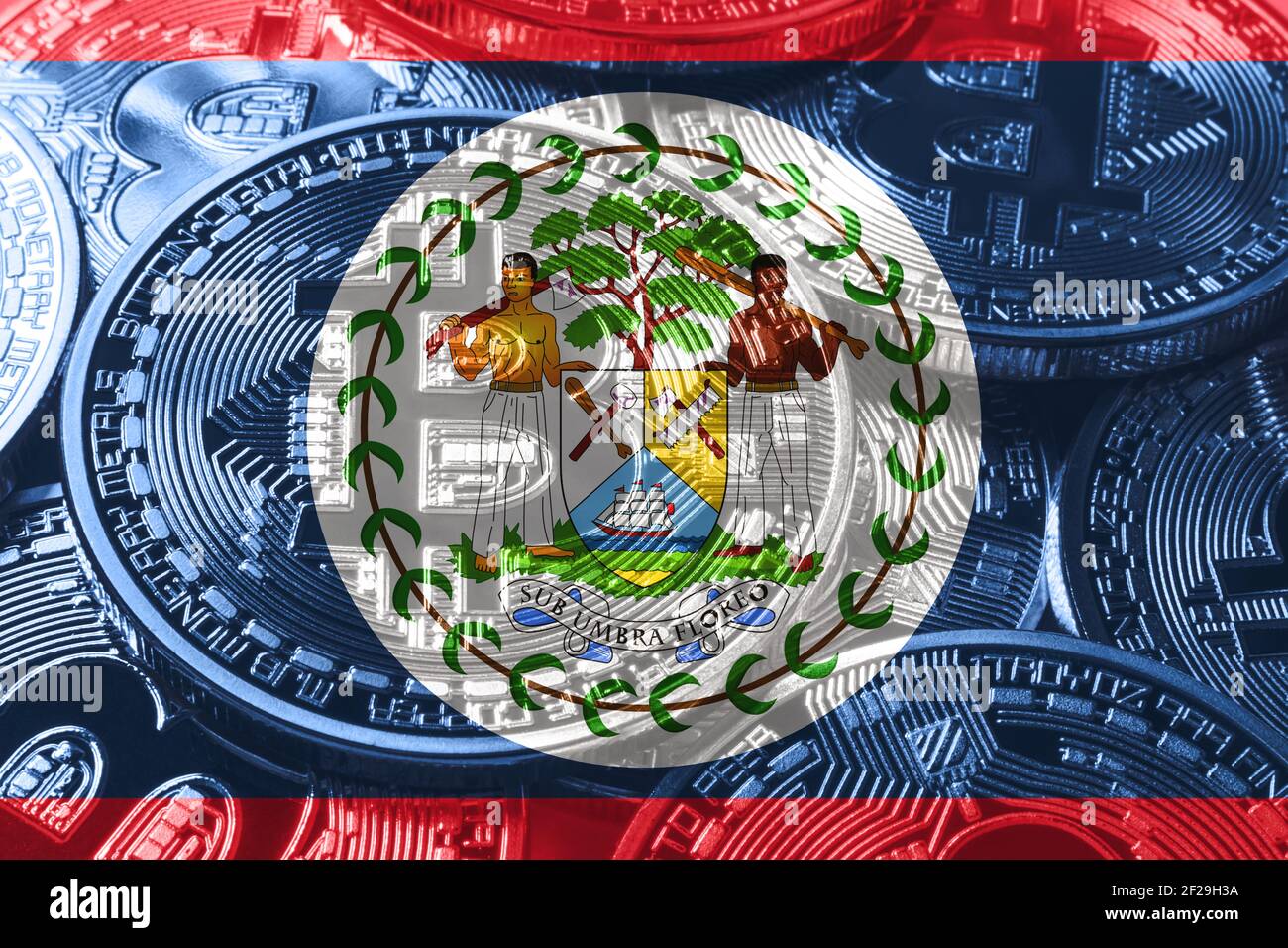 Belize bitcoin flag, national flag cryptocurrency concept black background  Stock Photo - Alamy
