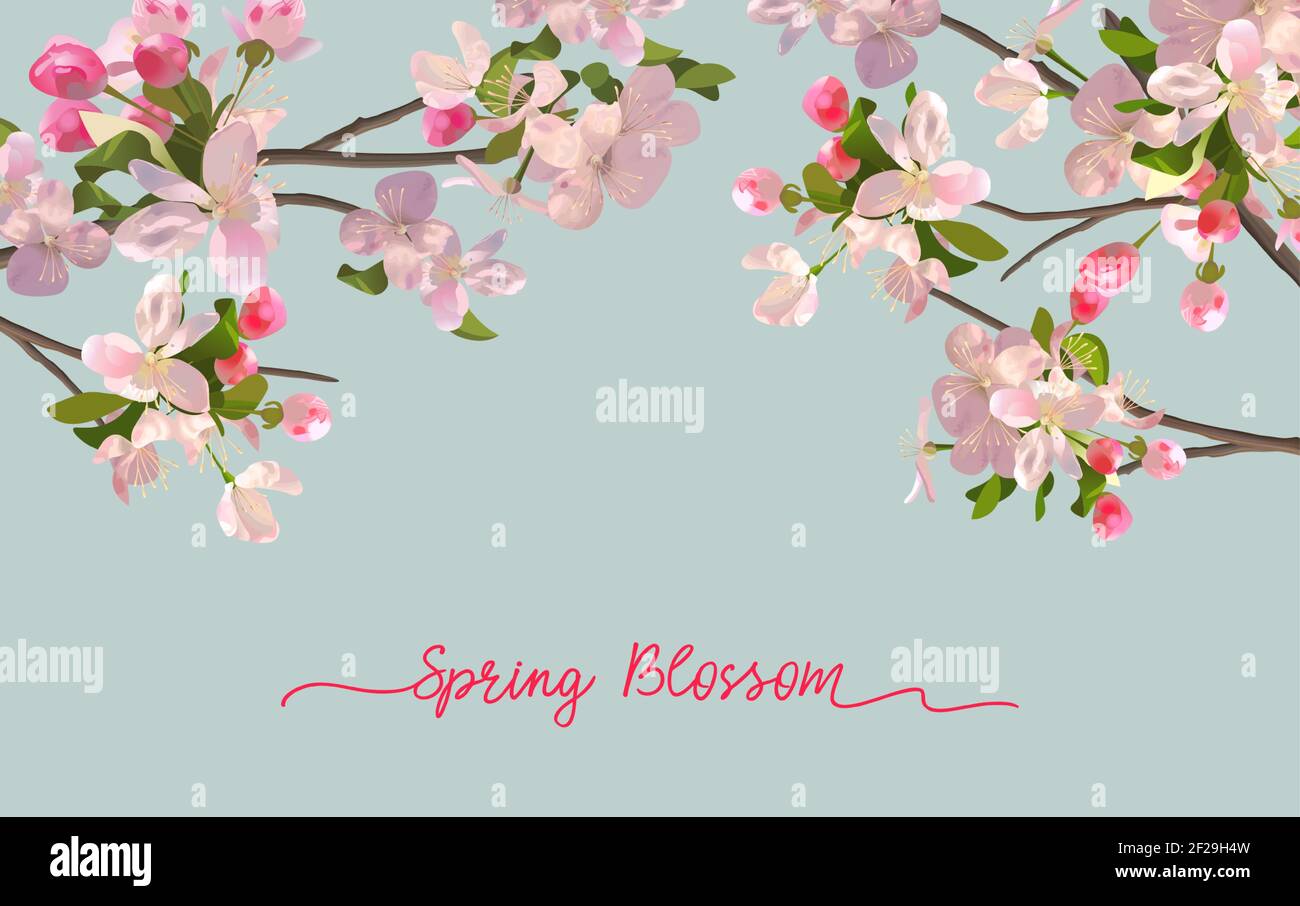 Spring blossom background with blooming pink flowers in a horizontal ...