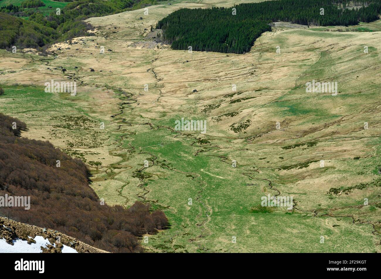 Shapes and river seen from above, green colors in Auvergne, France (Mont-Dore) Stock Photo