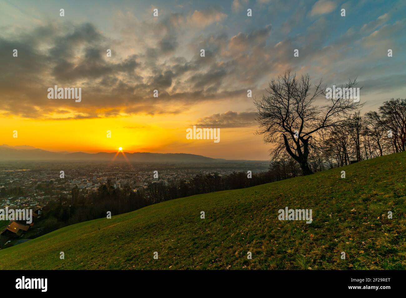 Sunset with afterglow over the Rhine valley. Dornbirn lies in the misty valley, Swiss mountains are above. single tree stands on the sloping meadow Stock Photo